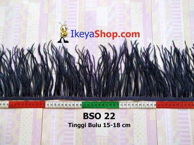 BSO 22  large2
